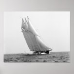 Racing Yacht Atlantic: 1904 Print