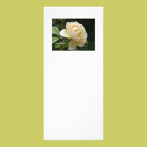 Rack Card - Beautiful Rose rack cards