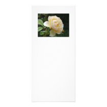 Rack Card - Beautiful Rose