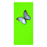 Rack Card Butterfly Freiburg Germany Blue