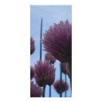 Rack Card - Chives    Image 1