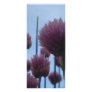 Rack Card - Chives    Image 1