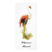 Rack Card Flamingo Resort, Cruise, etc