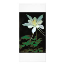 Rack Card / Rocky Mountain Columbine rack cards