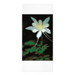 Rack Card / Rocky Mountain Columbine