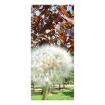 rack card speck flower dandelion