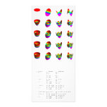 Rack Card: The disc polynomials of Zernike