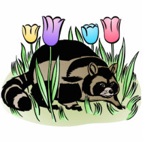 Racoon and Tulips photo sculptures
