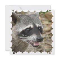 Racoon Face Invitation