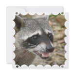 Racoon Face Invitation