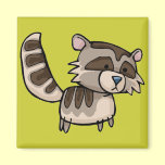 racoon magnets