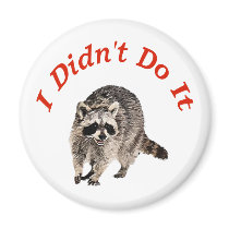 Racoon Magnet