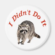Racoon Magnet