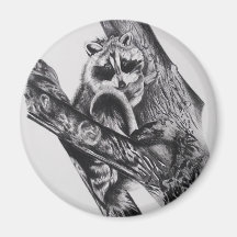 Racoon Magnet