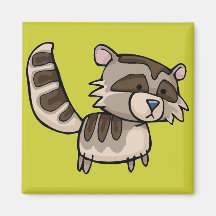racoon magnet