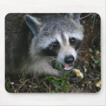 Racoon Mouse Pad mousepads