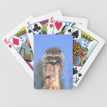 Racoon on Stump Card Deck