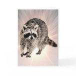 Racoon plain  greeting card