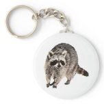 Racoon plain keychains