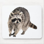 Racoon plain mouse pads