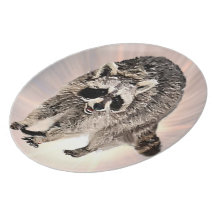 Racoon plain  Plate 10"