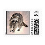 Racoon plain Postage (3) sizes postage