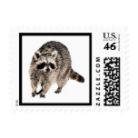 Racoon plain Postage (3) sizes postage