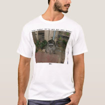 Racoon t-shirts