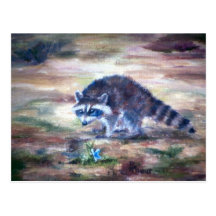 Racoon What's That Postcard