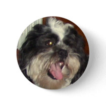 Radar Fan Club button by DRUIDWOMAN Radar Fan Club button