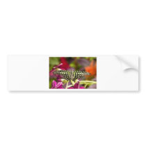Radial Flyer Bumper Sticker