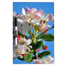 Radiant cherry blossom dry erase whiteboards