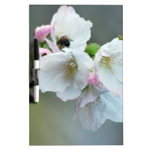 Radiant cherry blossom dry erase whiteboards