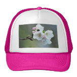 Radiant cherry blossom mesh hats