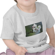 Radiant cherry blossom shirt