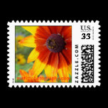 Radiant Color stamps