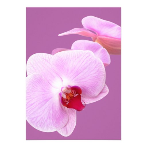 Radiant Orchid Wedding Rehearsal Invitations