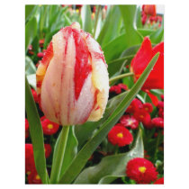 Radiant Red and White Tulip flyers