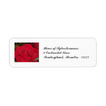 Radiant Red Rose Address Labels