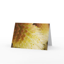 Radiant Torch Lily Card