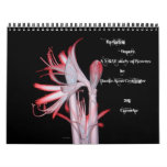 Radiating Beauty ( An X-Ray study of Flowers) calendars
