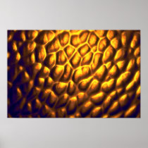 Radiating golden blob cluster print