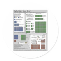Radiation Dose Chart (by Randall Munroe) Round Stickers