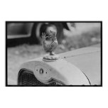 Radiator Cap, Laurel Mississippi