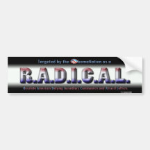 RADICAL PEGATINA DE PARACHOQUE
