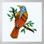Radient Robin Poster