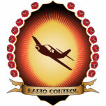 radio, control, model, fly, airplane, mandorla,