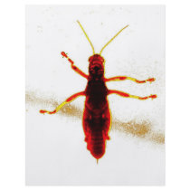 Radioactive Grasshopper Flyer