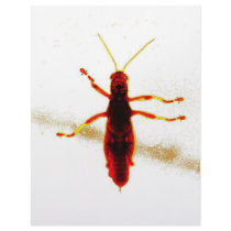 Radioactive Grasshopper letterhead