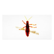 Radioactive Grasshopper Customized Photo Card